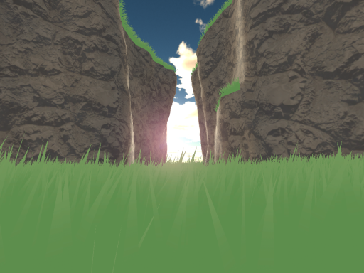 Grassy Ravine