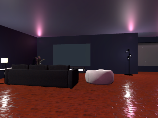 Cat's Chill Room