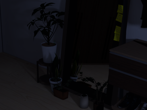 virtual dawn