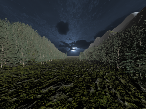 The Foggy Forest