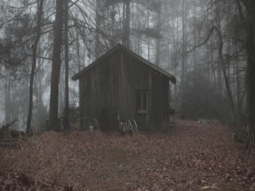 Leeso's Avatar Cabin