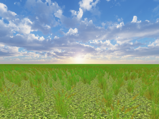 Grass land's