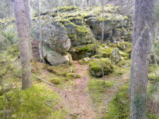 Small Forest splat