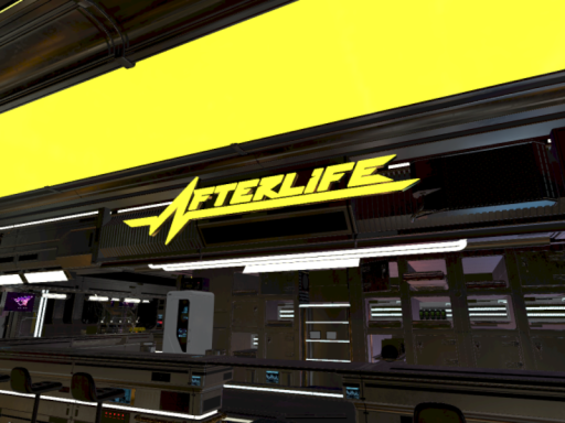 The Afterlife