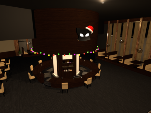 The Black Cat （Christmas Edition）