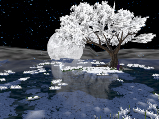 Moonlit Garden
