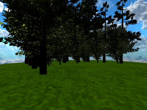 Mini forest sky