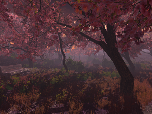 Sakura Forrest - WIP