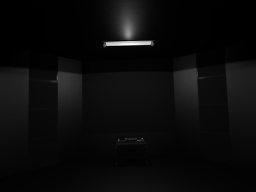 Audio Mirror