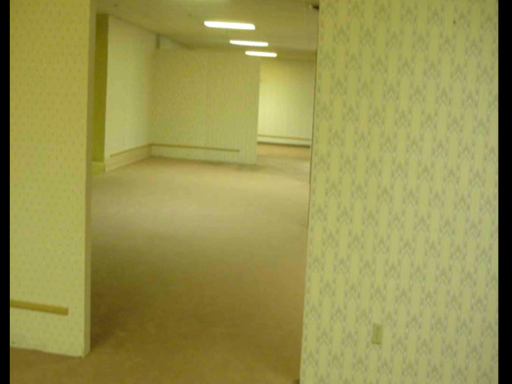 The Backrooms