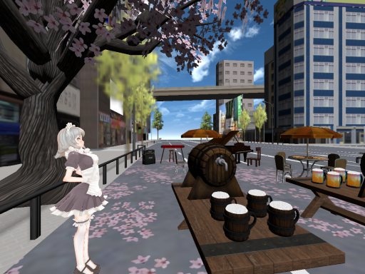 Japanese Otaku City Akihabara