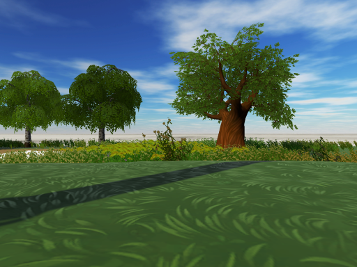 Field of Wondersǃ
