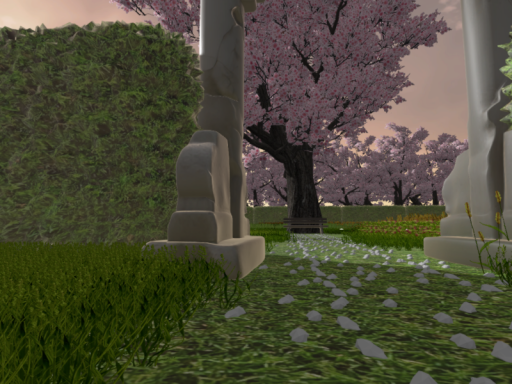 flower garden