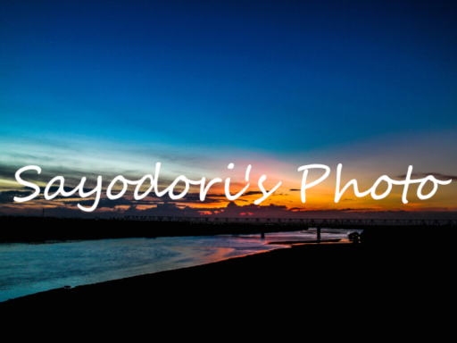 Sayodori's photo world