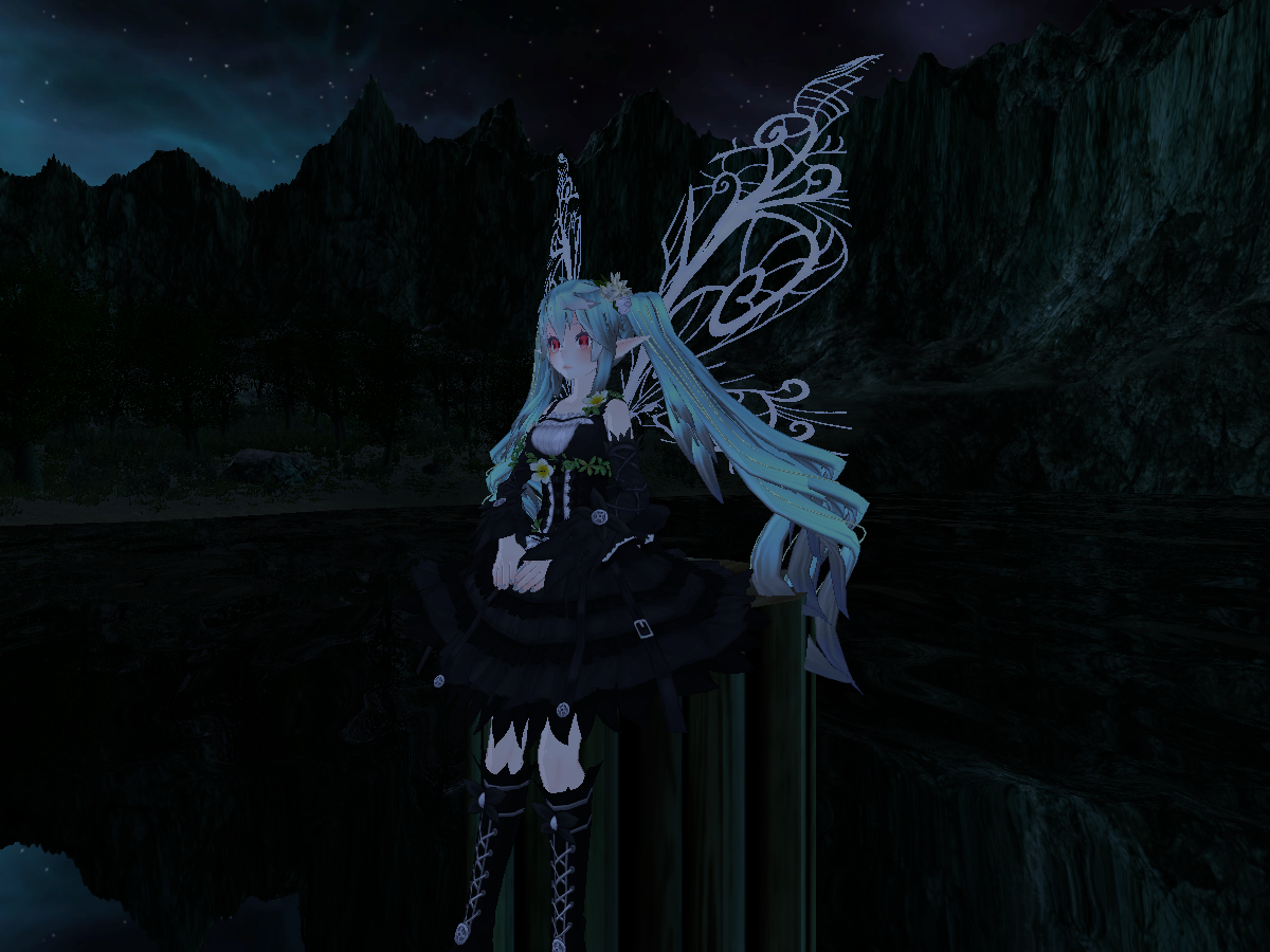 Fairy Forest
