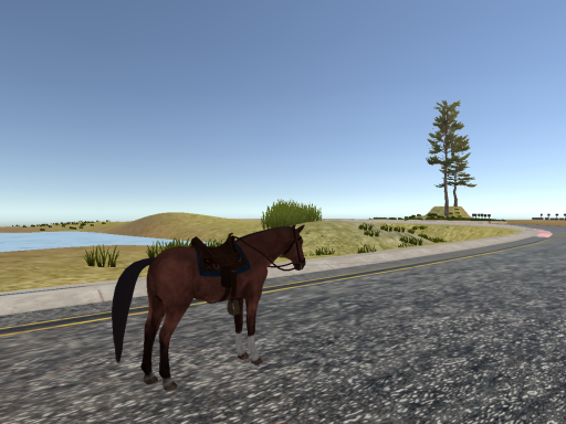 horse_track