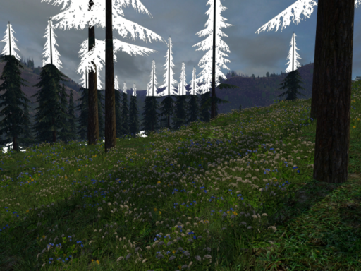 Nature Walk
