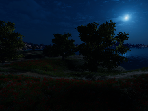 Campsite at night