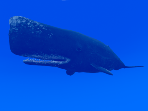 Open Ocean