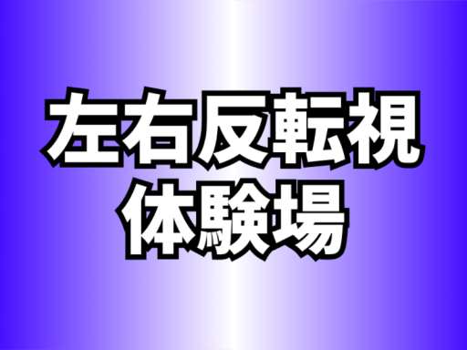 左右反転視 体験場