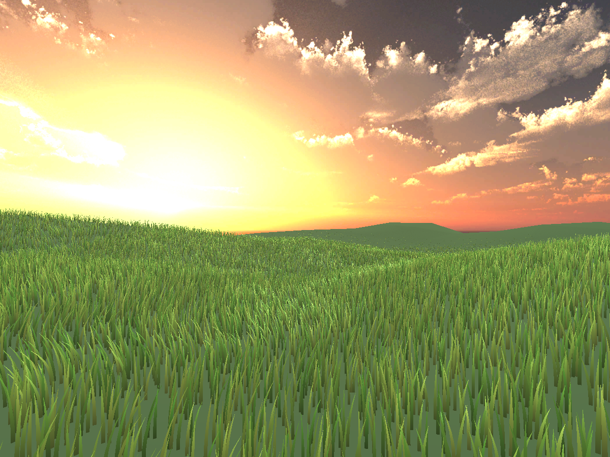 Grass Dawn