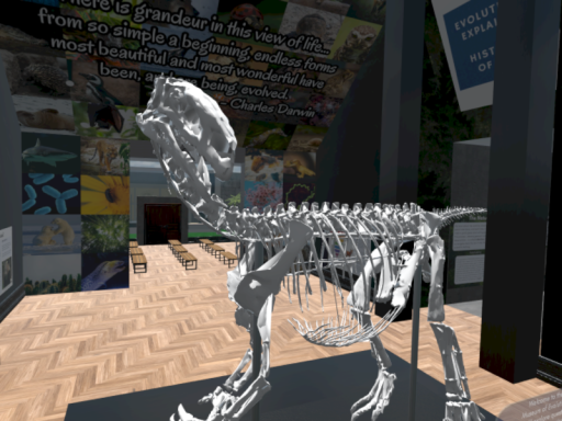 Museum of Evolution