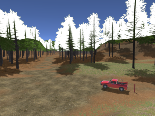 Grassy Field