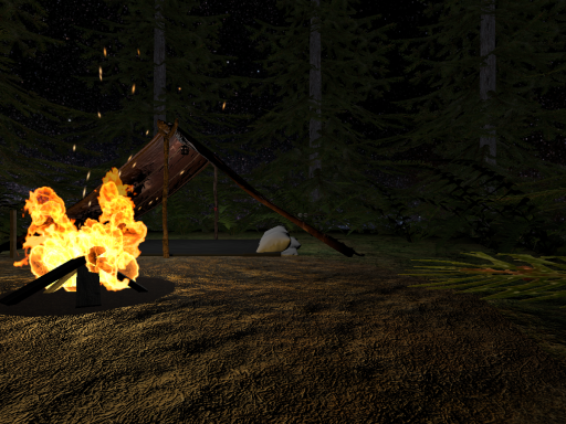 Forest Camp