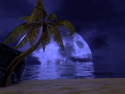 Secluded Beach