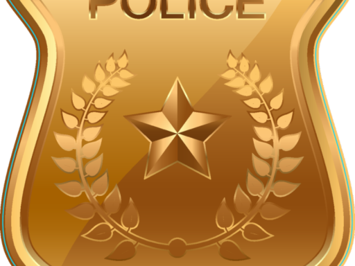 VCPD Training 2