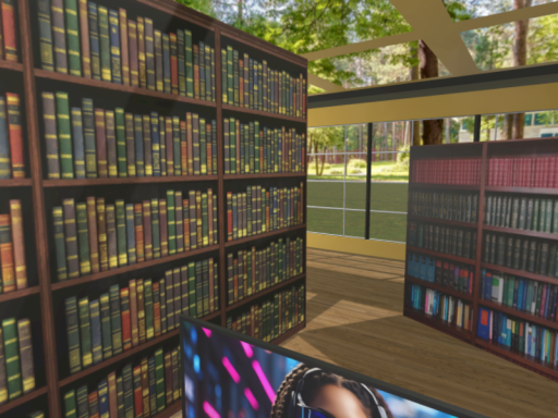 Dr Indiana Jones' Library