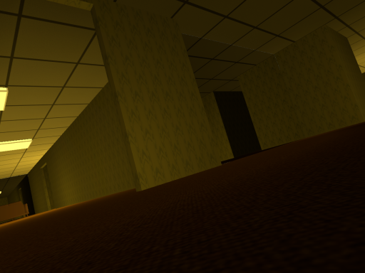 Chilling in The Backrooms