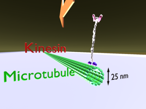 Molecular Transportation world