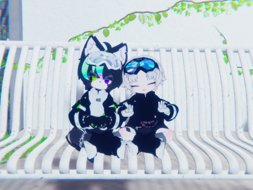 FelineHOUS