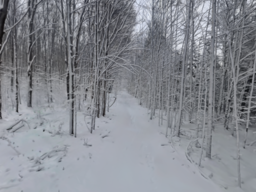 ［3DGS］ Winter Forest