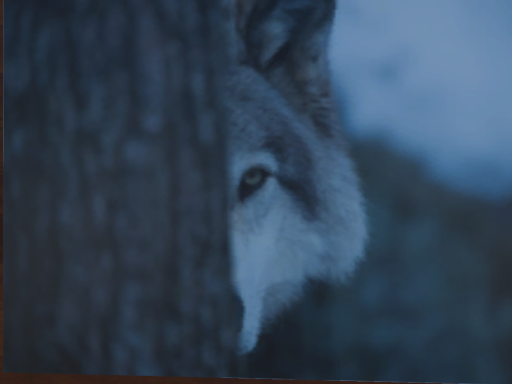 The Wolf's Lair