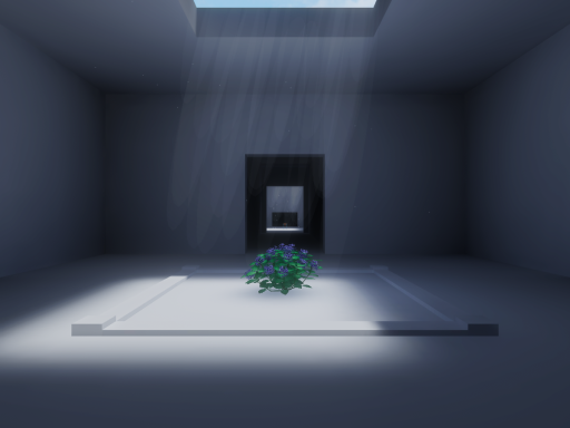 A Center of Reincarnation