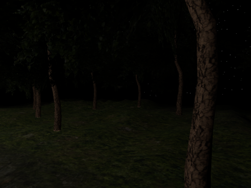 Relaxing Forest