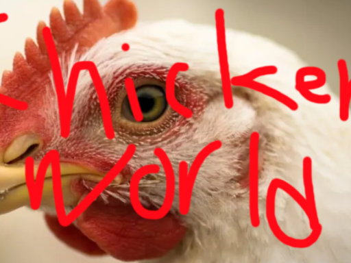 CHICKEN WORLD ˸D