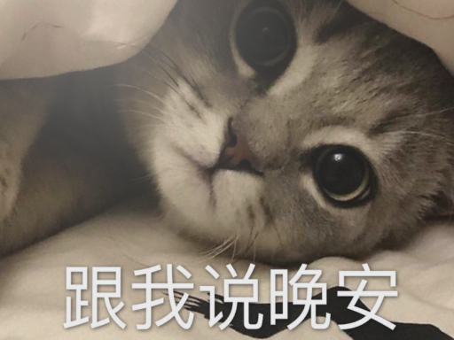 睡觉