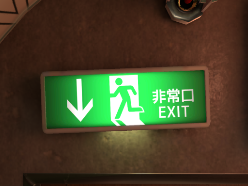巣