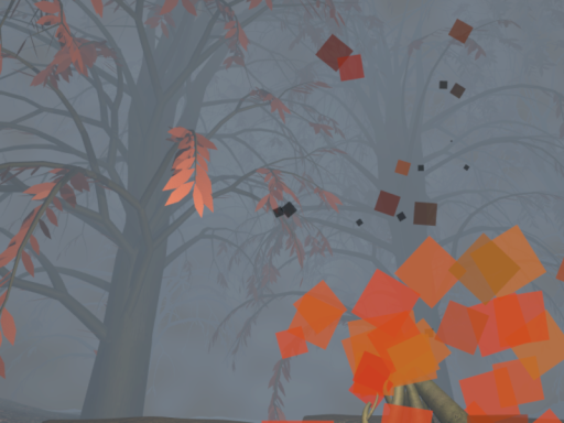 Foggy Fire
