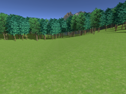 forest