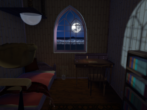 a room with a cat