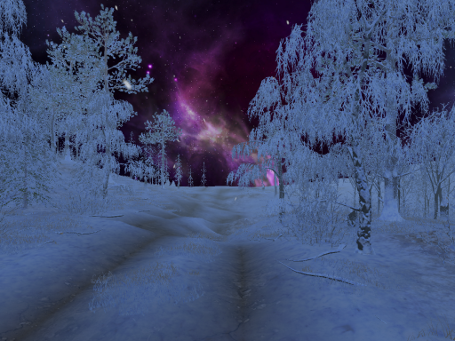 Snowy Forest