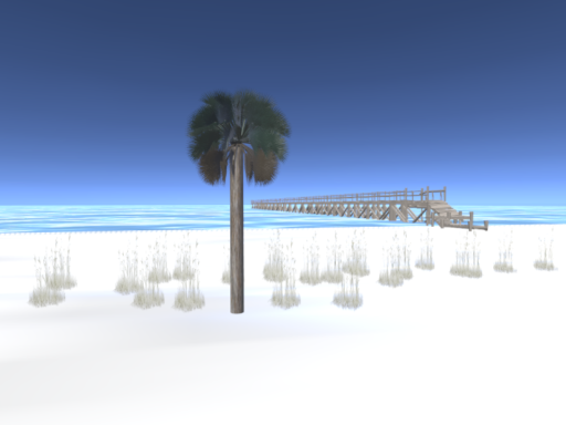Florida Beach