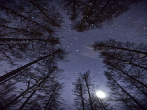 Starry Night