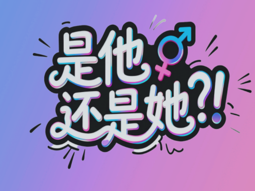 是他还是她