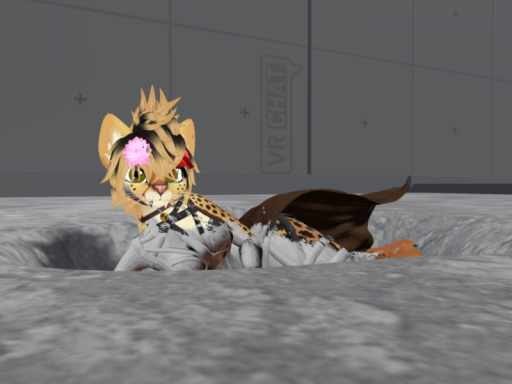 Mud Test