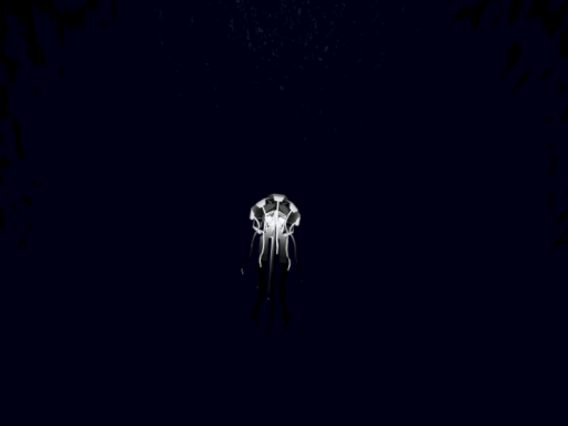 八畳一間の深海